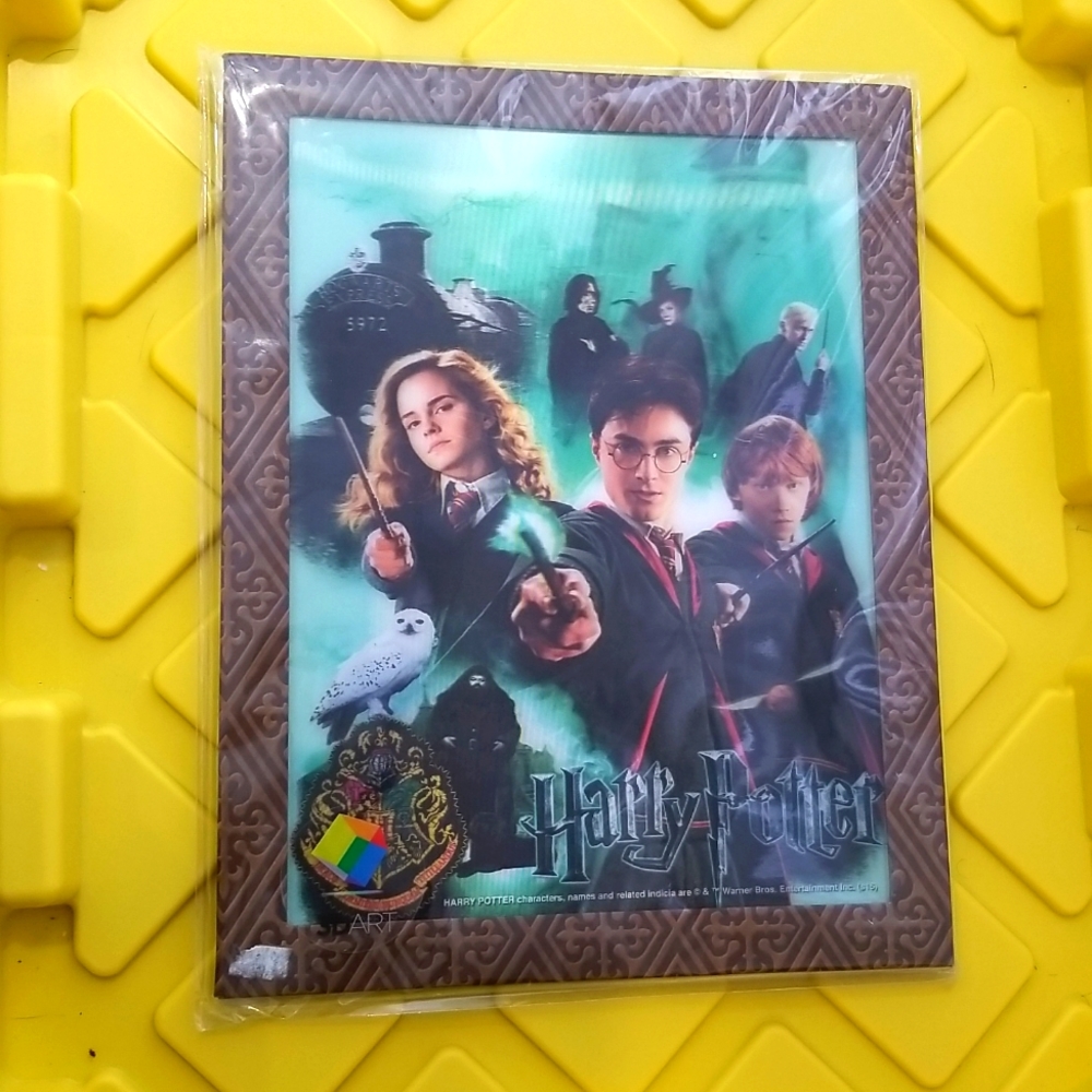 Harry Potter 3D Art